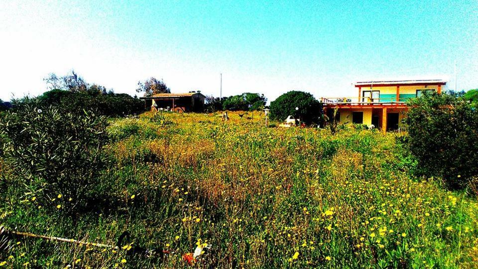 Affittacamere Casa Maica Stintino Esterno foto