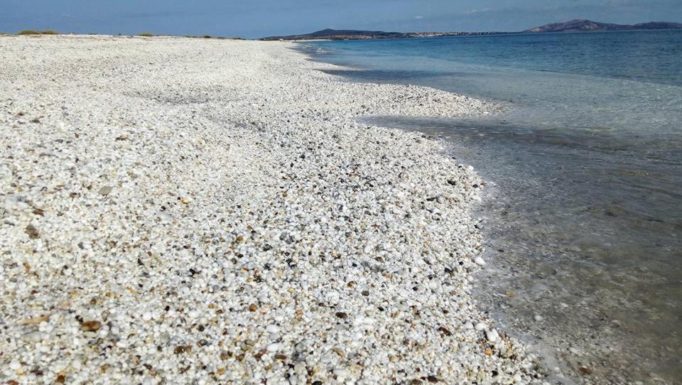 Affittacamere Casa Maica Stintino Esterno foto